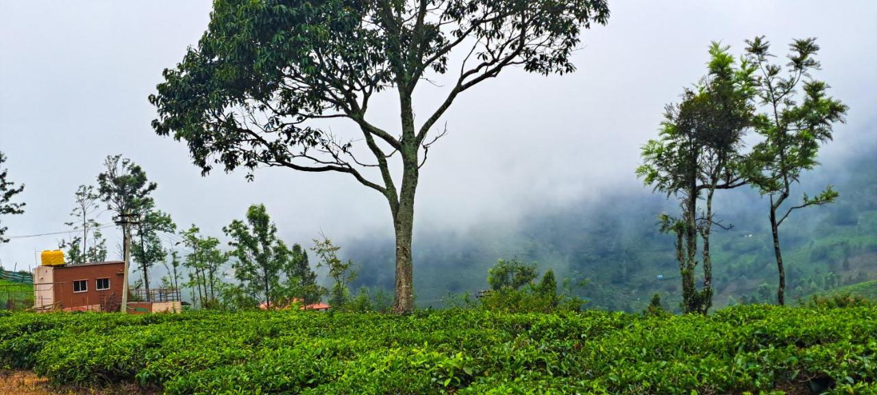 Ghar - Homestay, Where Family Lives Together Aravankādu Eksteriør bilde