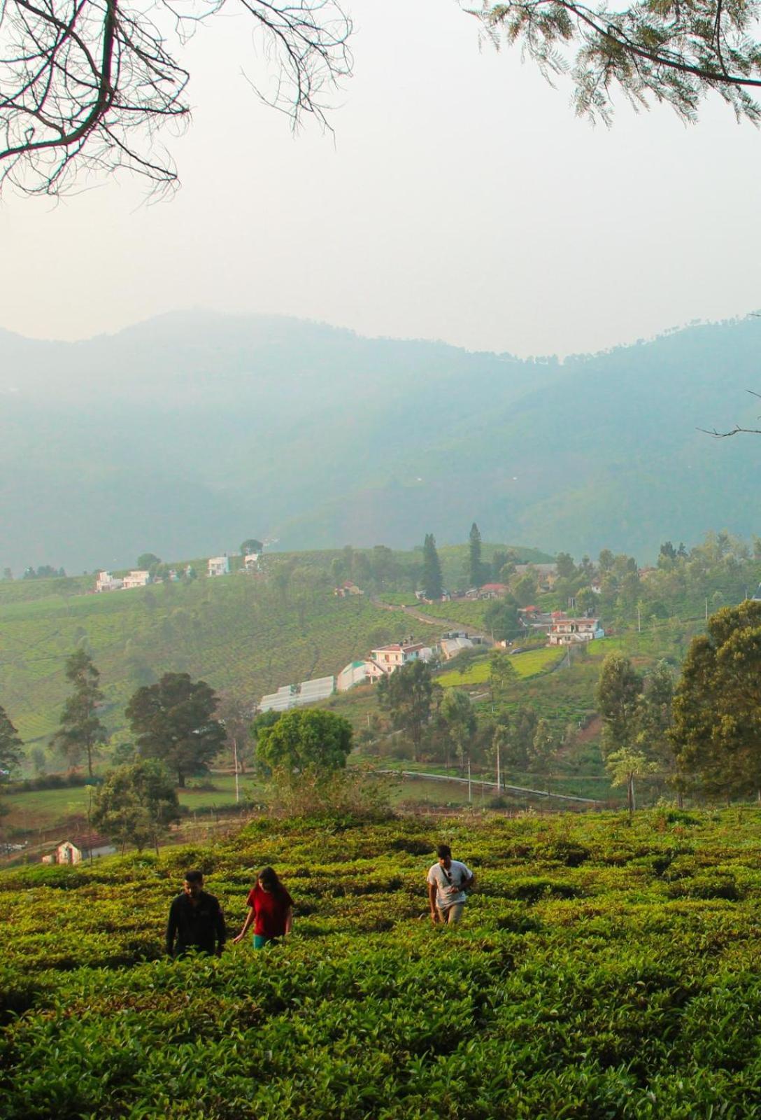 Ghar - Homestay, Where Family Lives Together Aravankādu Eksteriør bilde